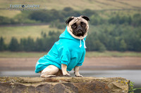Furrtography Pet and Equine Photography