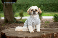 Furrtography Pet and Equine Photography