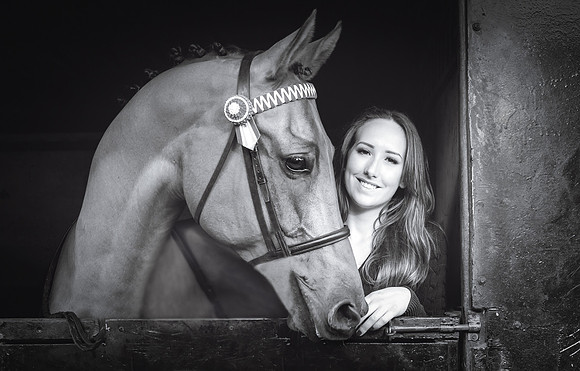 Equine Photography Manchester
