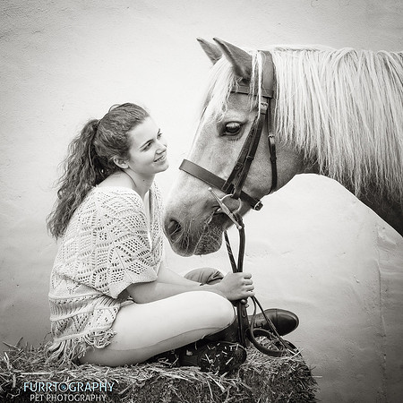 manchester equine photography