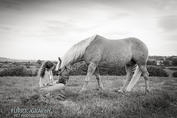 manchester equine photography
