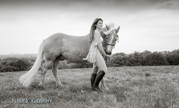 manchester equine photography