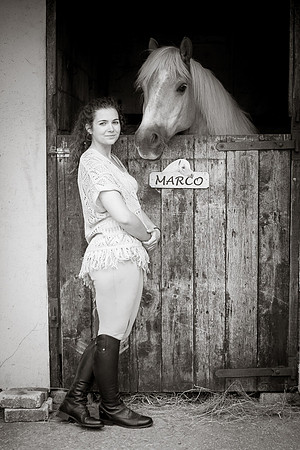 manchester equine photography
