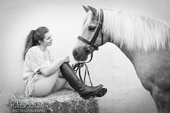 manchester equine photography