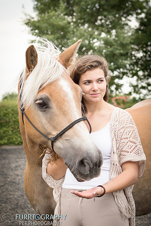 manchester equine photography