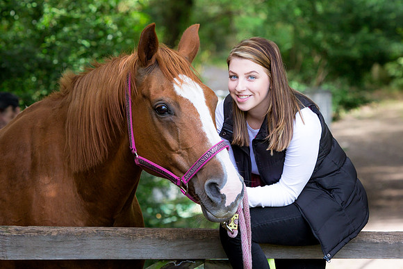 Equine Photography Manchester