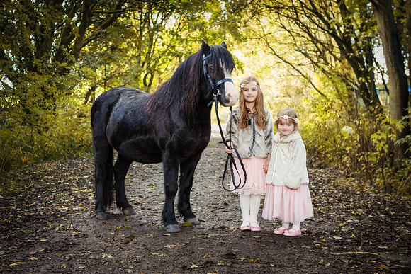 Equine Photography Manchester