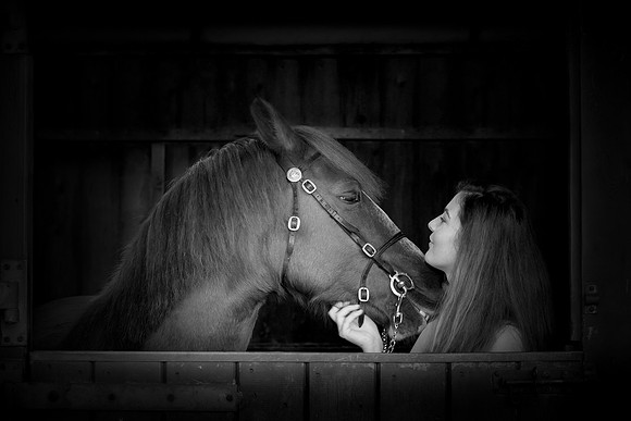 Equine Photography Manchester