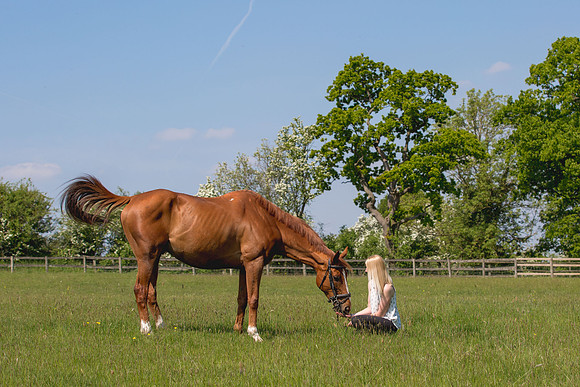 Equine Photography Manchester