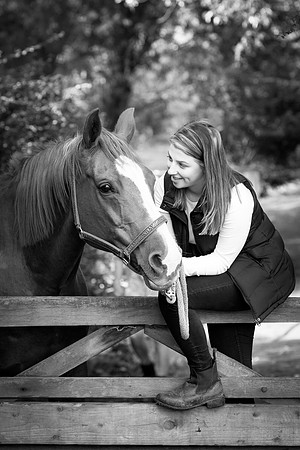 Equine Photography Manchester