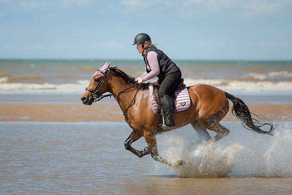 Equine Photography Manchester